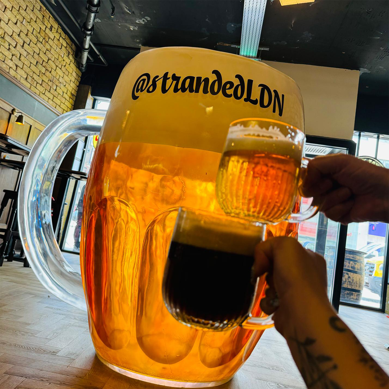 big_pint_the_stranded